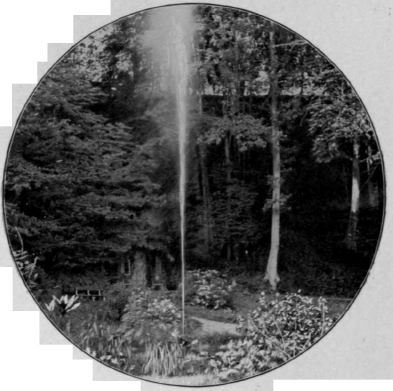 The Garden At Arenenberg