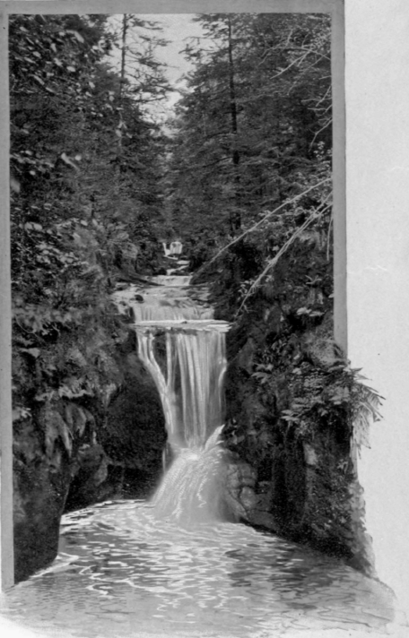 Waterfall In The Black Fokest