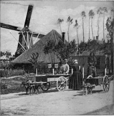 A Country Scene