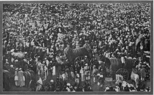 A Religious Festival