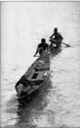 Divers