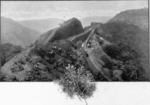 India 119