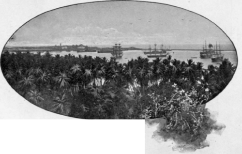 The Harbor Of Colombo