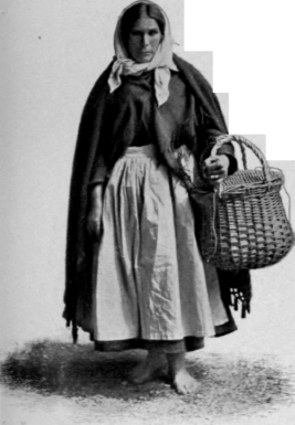 A Daughter Of Toil