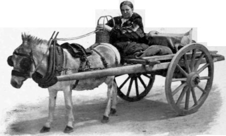 Going To Market
