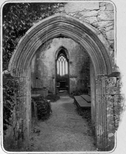 One Of The Many, Muckross Abbey