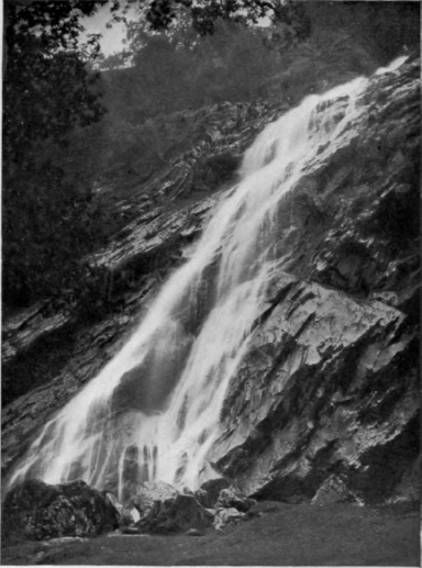 The Powerscourt Waterfall