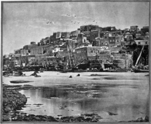 Jaffa.