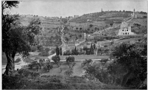 Mount Of Olives From Jerusalem