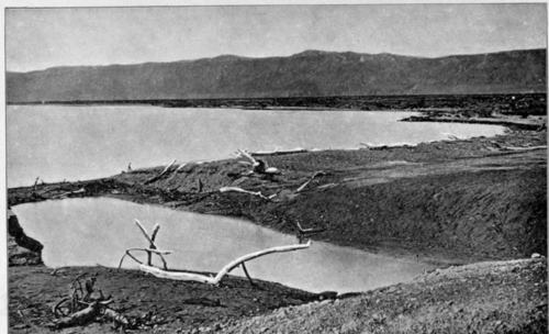 The Dead Sea