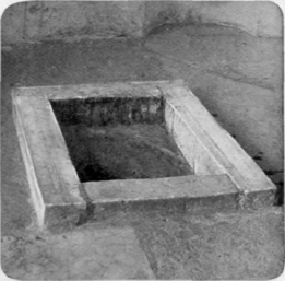 The Footprint
