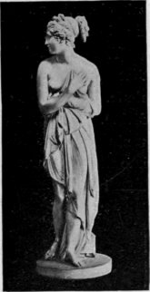 The Venus Of Canova.
