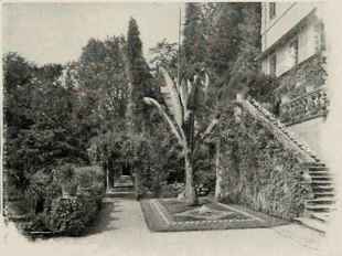 The First Terrace.