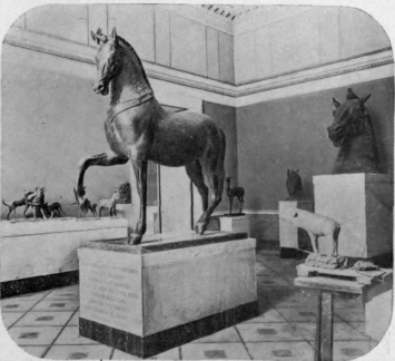 Hall Of Large Bronzes.