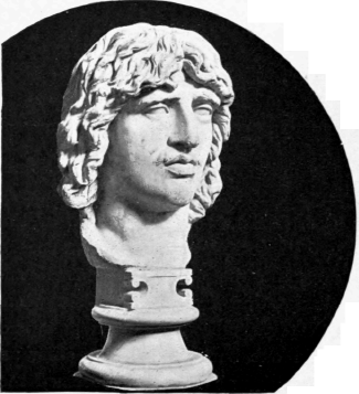 Head Of A Barbarian.