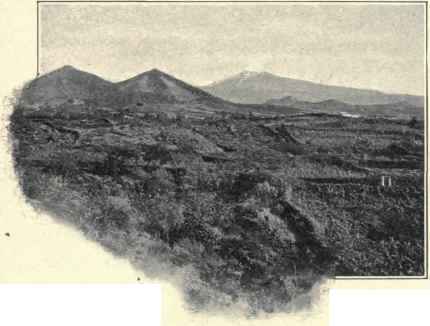 Between Catania And Etna.