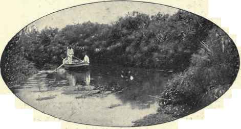 The Fountain Of Cyane.
