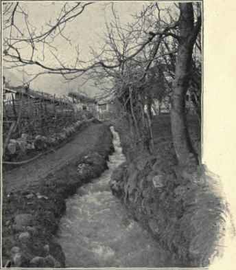 A Rivulet In Obermais.