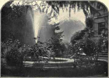 In The Author's Garden.