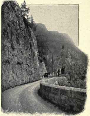 The Mendel Road.