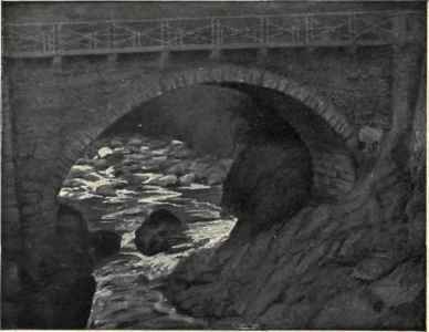 The Toll Bridge On The Roman Terrace.