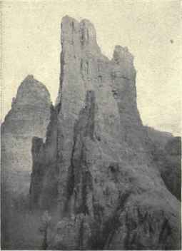 Flowers In King Laurin's Garden: The Vajolet Towers, 9188 Feet.