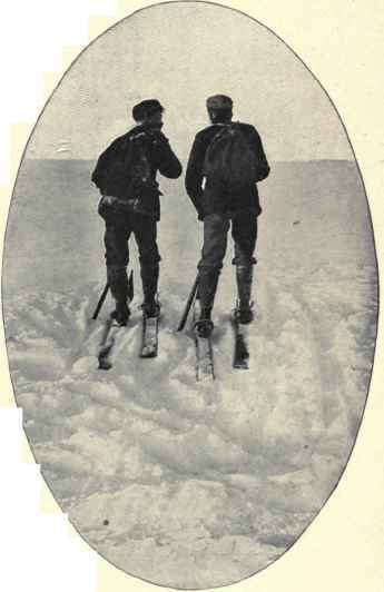 Winter On The Seisser Alp.