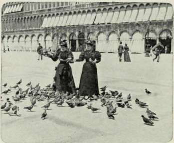 Feeding The Pigeons.