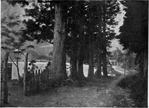 A Lovely Walk Near Hakone