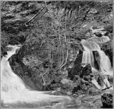 A Mountain Stream