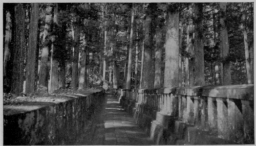 The Path To The Shogun's Grave