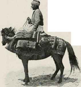 Syrian Muleteer, Near Acre.