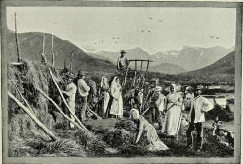 A Norwegian Hay Field.