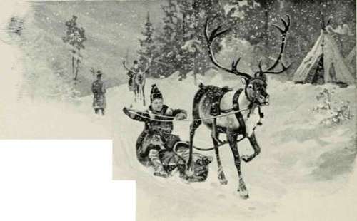 Reindeer And Sledge.