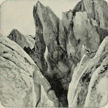 Cavernous Jaws.