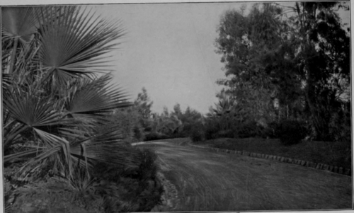 A Driveway In Redlands