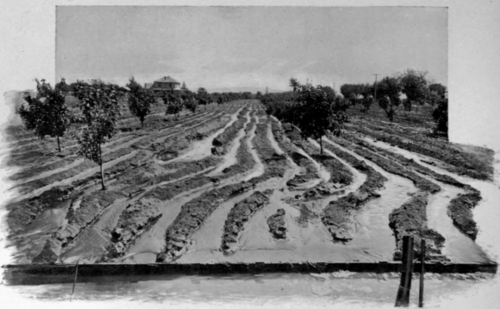 Irrigating Ditches