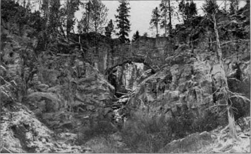 A Natural Bridge