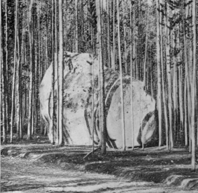 A Stranger In The Yellowstone