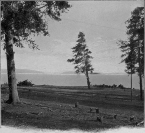 Along The Shore