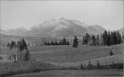 Electric Peak