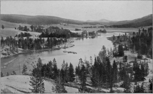 Hayden Valley
