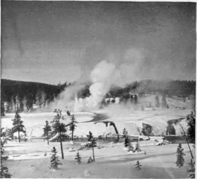 The Park In Winter