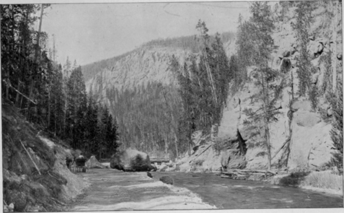The Road By Gibbon River